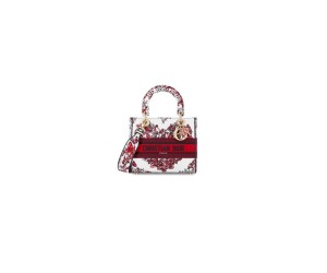 Dior Medium Lady D-Lite Bag