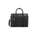 DIOR LINGOT BRIEFCASE