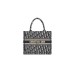 SMALL DIOR BOOK TOTE