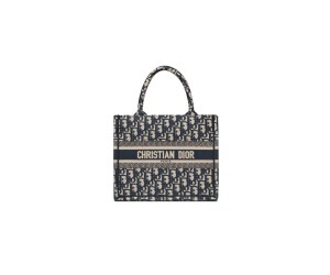 SMALL DIOR BOOK TOTE