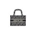 MINI DIOR BOOK TOTE