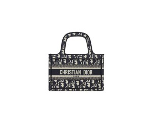 MINI DIOR BOOK TOTE