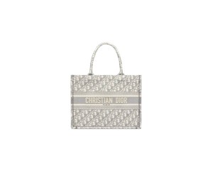 SMALL DIOR BOOK TOTE