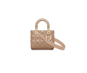 SMALL LADY DIOR MY ABCDIOR BAG