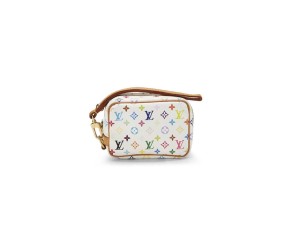 LV MULTICOLORE WAPITY CASE