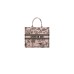 LARGE DIOR BOOK TOTE