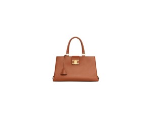 CELINE MEDIUM APPOLINE BAG in calfskin(HIGH-END GRADE)