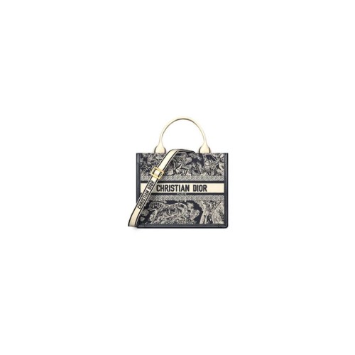 Small Dior Book Tote