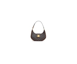 CELINE MEDIUM AVA TRIOMPHE BAG in Triomphe Canvas and calfskin