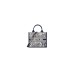 Small Dior Book Tote