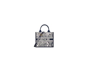Small Dior Book Tote