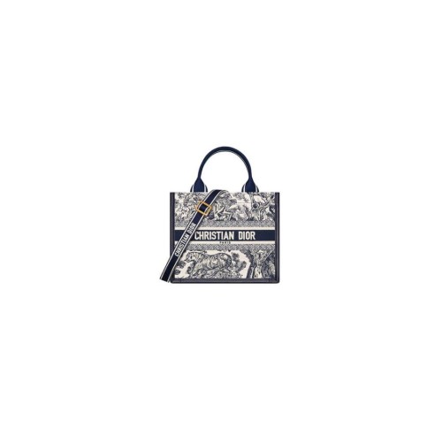 Small Dior Book Tote