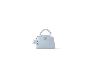 LV Capucines Mini(HIGH-END GRADE)