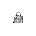 Small Dior Book Tote