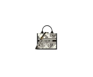 Small Dior Book Tote