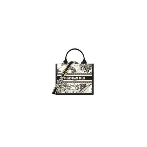 Small Dior Book Tote