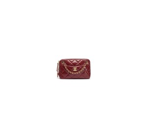 CHANEL Mini Camera Case