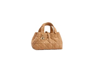 SMALL DIOR TOUJOURS BAG