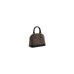LV x TM NANO SPEEDY Bag