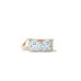 LV Multi Pochette Accessoires