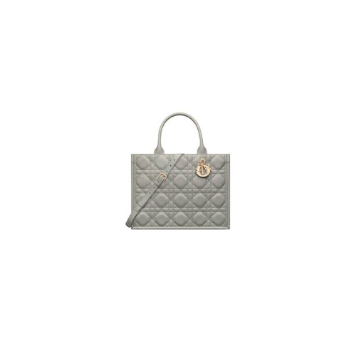 Dior Medium Dior Book Tote