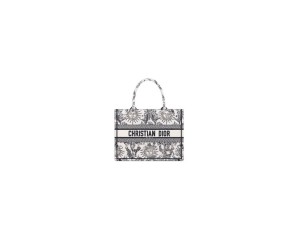 Medium Dior Book Tote