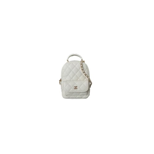 Louis Vuitton CAPUCINES MM