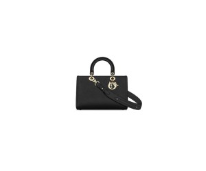 DIOR Medium Lady D-Sire My ABCDior Bag