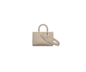 DIOR Medium Lady D-Sire My ABCDior Bag