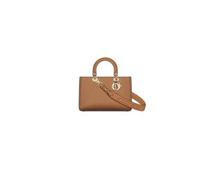 DIOR Medium Lady D-Sire My ABCDior Bag