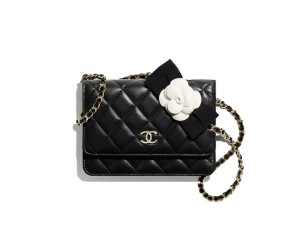 Chanel MINI WALLET ON CHAIN