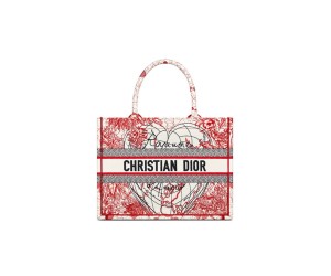 SMALL DIOR BOOK TOTE