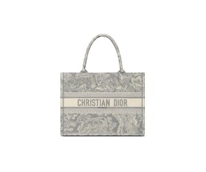 SMALL DIOR BOOK TOTE