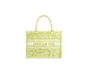 SMALL DIOR BOOK TOTE