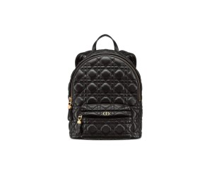 SMALL DIOR BACKPACK