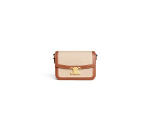 CELINE CLASSIQUE TRIOMPHE BAG IN TRIOMPHE CANVAS AND CALFSKIN