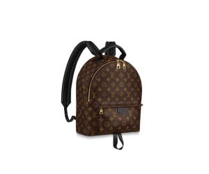 Louis Vuitton PALM SPRINGS MM