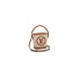 LV Petit Bucket