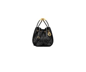 Large Dior Nolita Bag