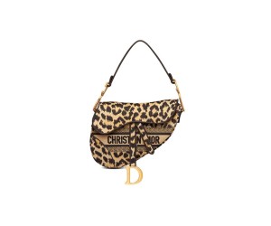 Dior SADDLE BAG