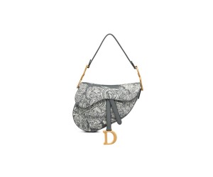 Dior SADDLE BAG