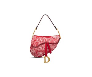 Dior SADDLE BAG