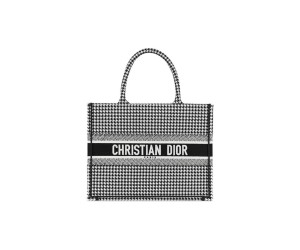 SMALL DIOR BOOK TOTE