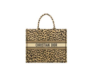 SMALL DIOR BOOK TOTE