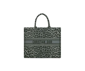 SMALL DIOR BOOK TOTE