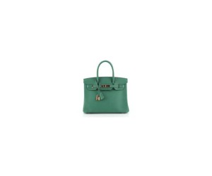 HERMES BIRKIN BAG 25