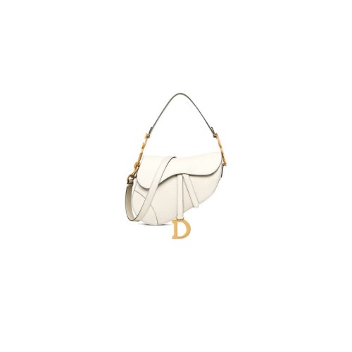 Dior Saddle Bag with Strap