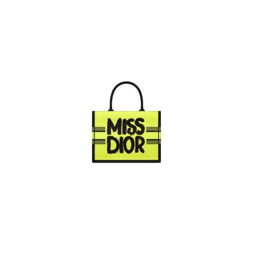 Small Dior Book Tote