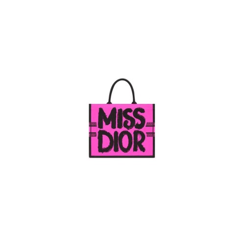 Small Dior Book Tote