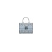 Medium Dior Book Tote